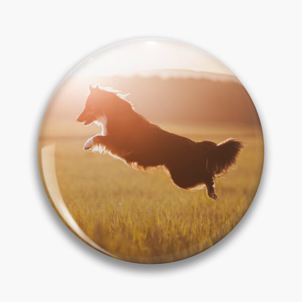 Artikelvorschau, Flying Sheltie entworfen und verkauft von hadissima.