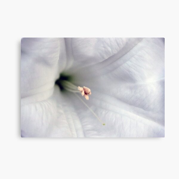 Aperçu de l'œuvre Moonflower créée et vendue par Boog Monst .
