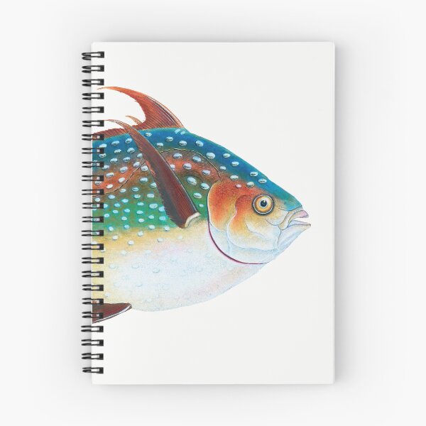 Item preview, Opah Fish - Vintage Illustration designed and sold by NaturalTextures.