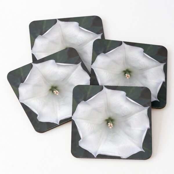 Item preview, Moonflower designed and sold by FrictionMaxxing.