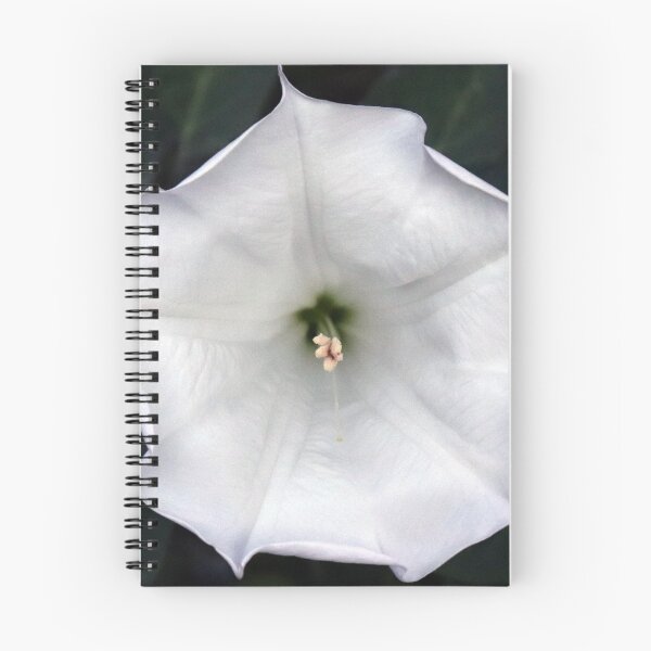 Item preview, Moonflower designed and sold by FrictionMaxxing.