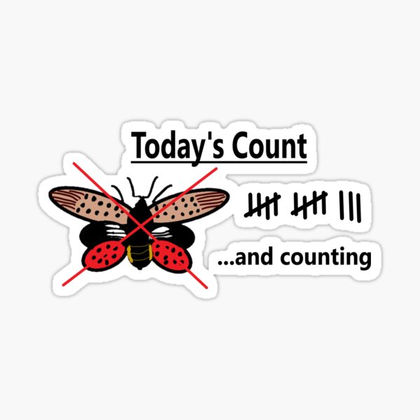 Item preview, Today's Count of Lanternfly designed and sold by cait1994.