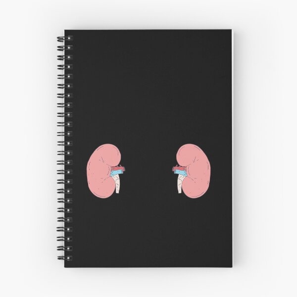 Item preview, Kidney Transplant - Bean Shaped Graphic - Nephrology designed and sold by DeWinnes.