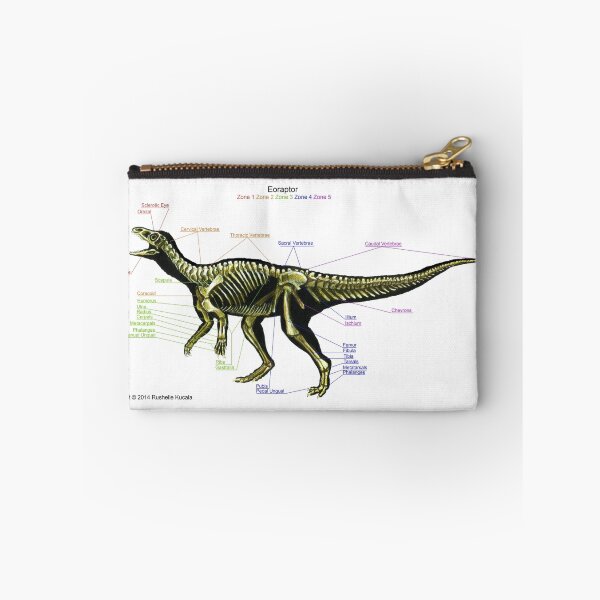 Item preview, Eoraptor Skeleton Study designed and sold by Thedragonofdoom.