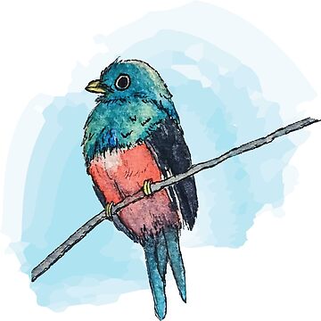 Artwork thumbnail, Quetzal by Philcohnartist