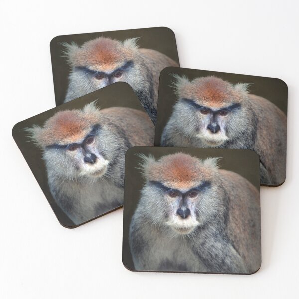 Item preview, Patas Monkey designed and sold by Savannah Gibbs.