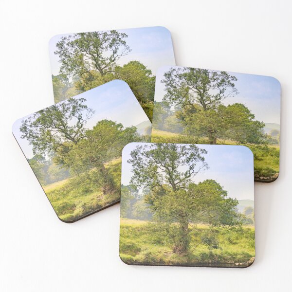 Item preview, Bolton Abbey Priory designed and sold by Svetlana Sewell.