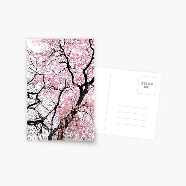 Item preview, Dancing Cherry Blossom Trees designed and sold by vickisee.