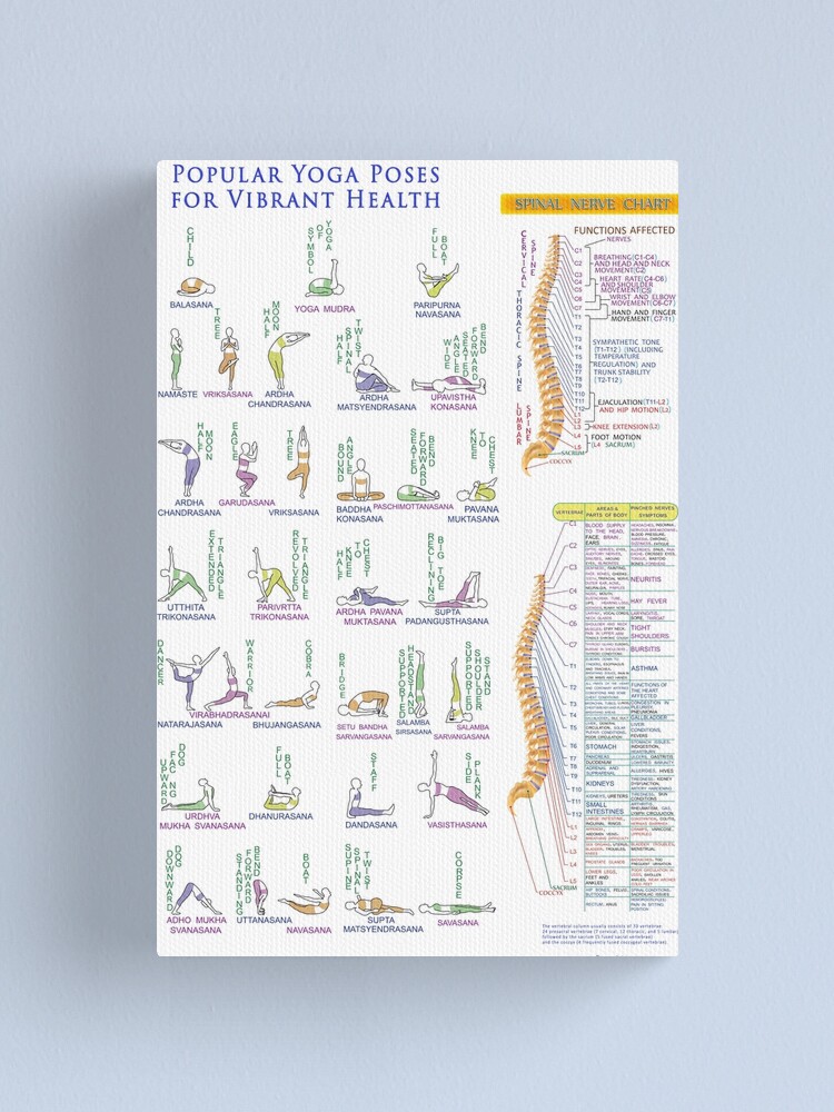 Yoga Poses Reference Chart Studio Gray Cool Wall Decor Art Print Poster  12x18