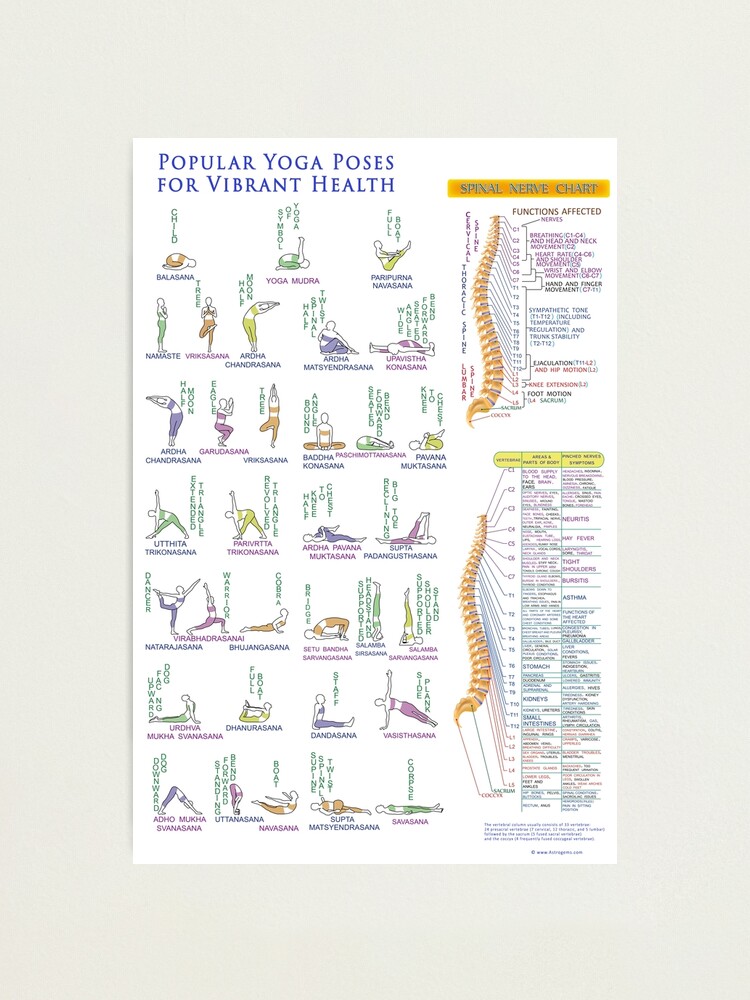 101 Popular Yoga Poses for Beginners, Intermediate and Advanced Yogis