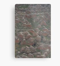 The Bungle Bungles Metal Print
