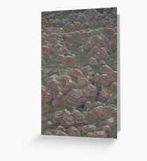 The Bungle Bungles Greeting Card