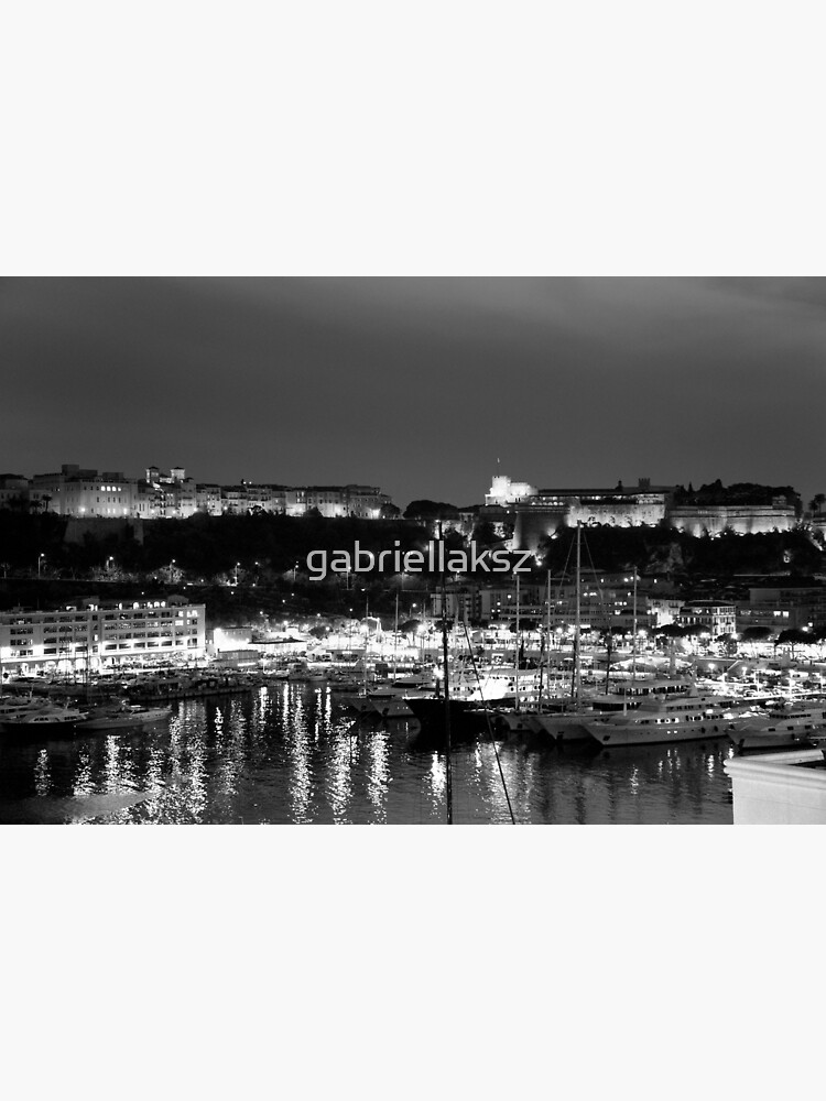 Monaco palace and bay by gabriellaksz