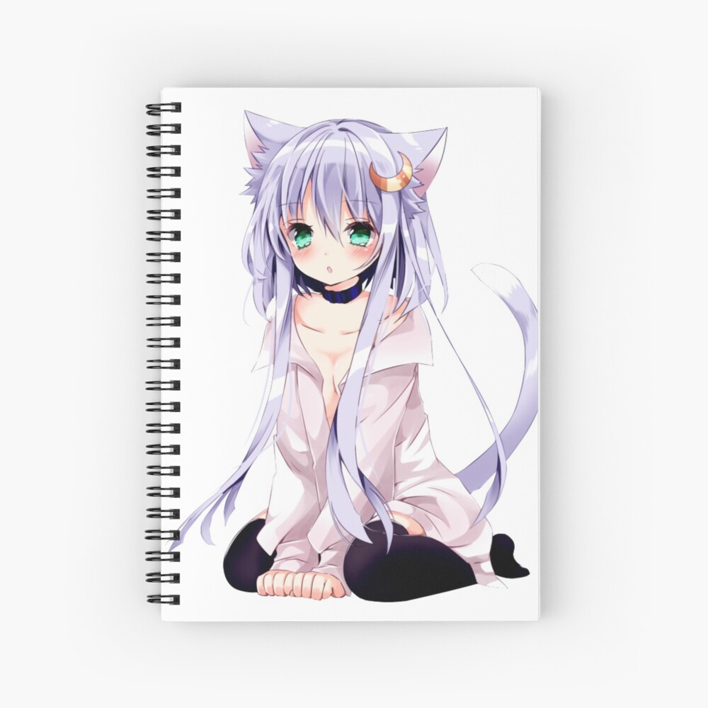 Notebook Anime School, Anime Notebooks Journals