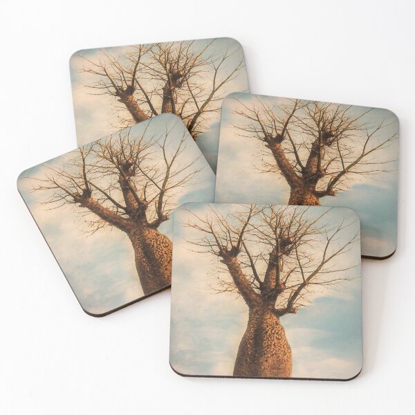 Item preview, Baobab designed and sold by Maria  Gonzalez.