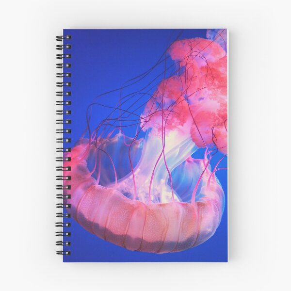 Artikelvorschau, Meduse-Fotografie entworfen und verkauft von illestart.
