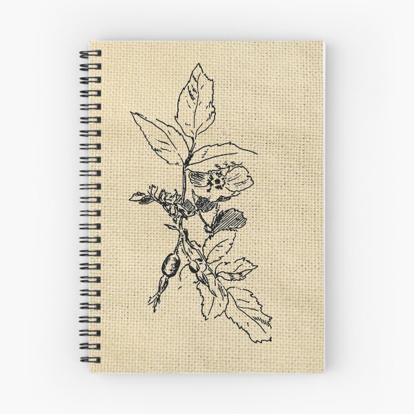 Item preview, Rosehip designed and sold by Telion-Gall.
