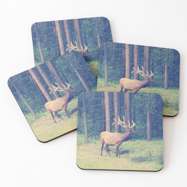 Item preview, Natural Balance designed and sold by glategan.