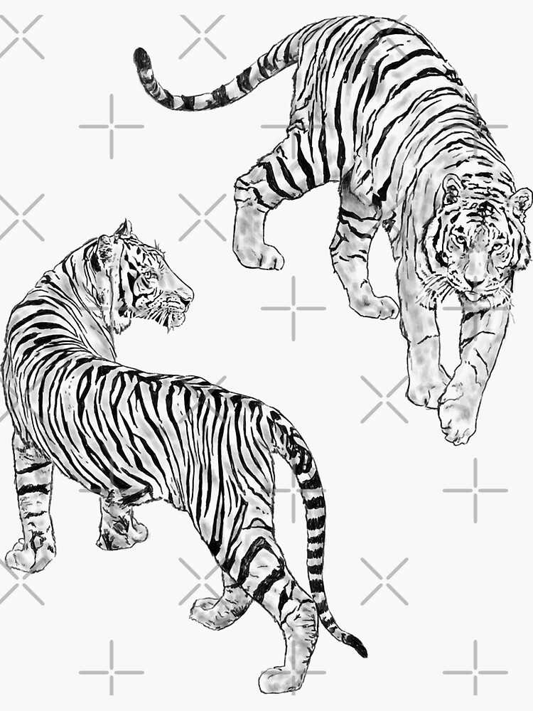 White Baby Tiger Sticker for Sale by Strivient