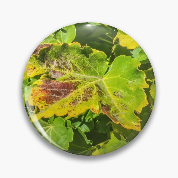 Item preview, closeup green ivy leaves texture background designed and sold by Mrvell.