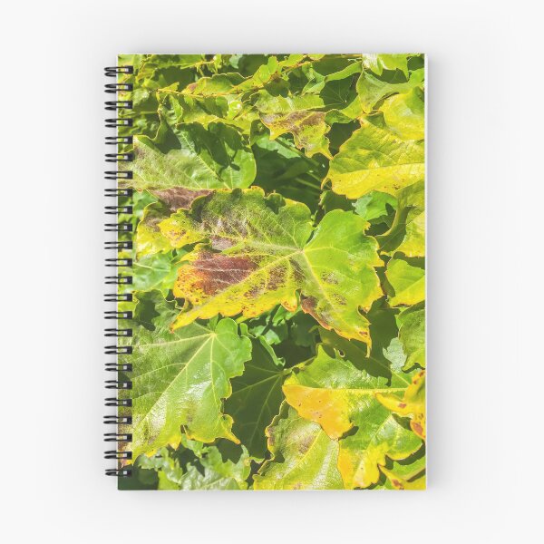 Item preview, closeup green ivy leaves texture background designed and sold by Mrvell.