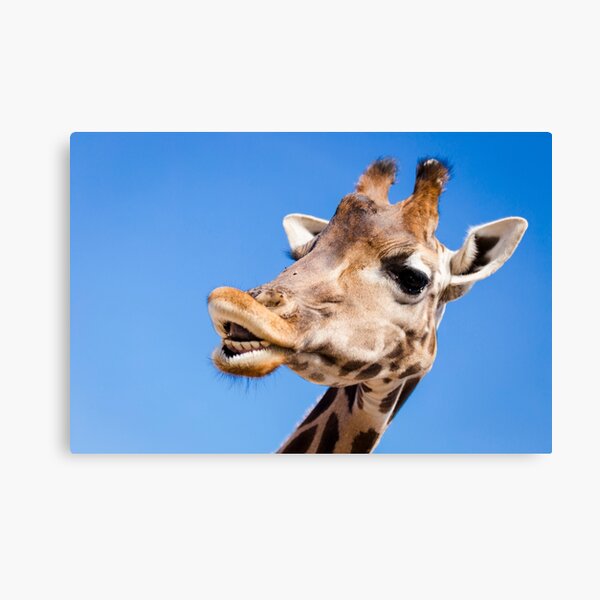 Produits Sur Le Theme Girafe Sourire Redbubble