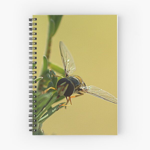Item preview, Hover Fly designed and sold by Paul Chubb.
