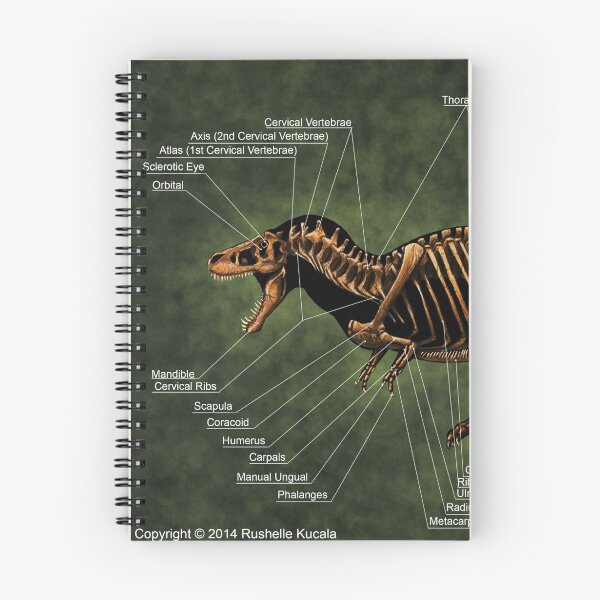 Item preview, Tyrannosaurus Rex Skeleton Study designed and sold by Thedragonofdoom.