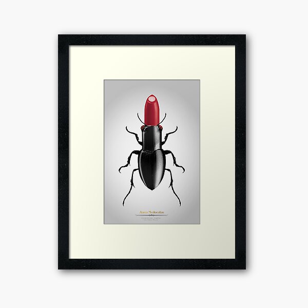 Coleóptero Carmín Framed Art Print