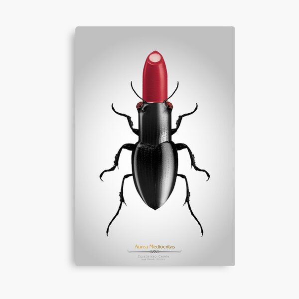 Coleóptero Carmín Canvas Print