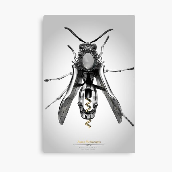 Avispa Sacacorchos Canvas Print