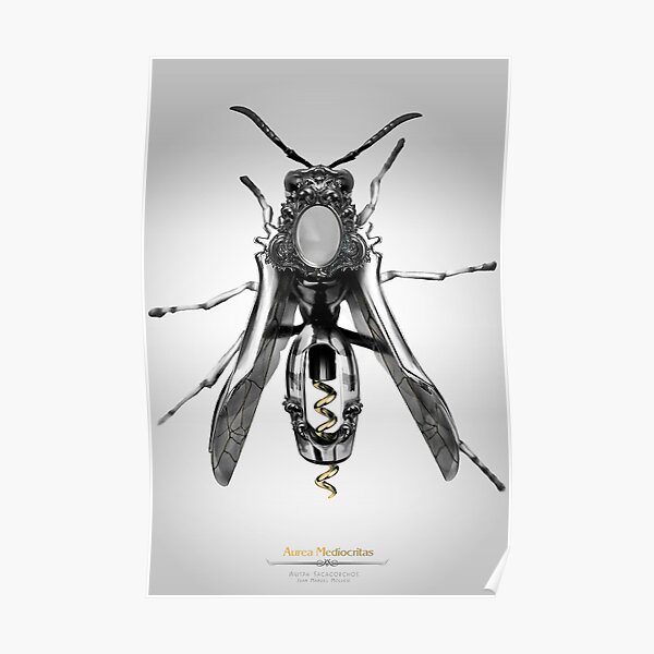 Avispa Sacacorchos Poster