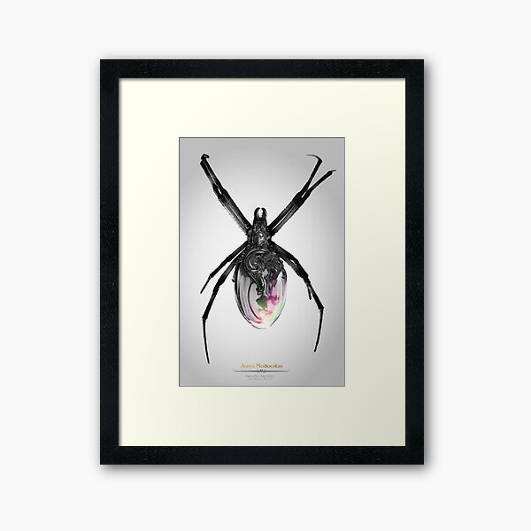 Perfume Arácnido Framed Art Print