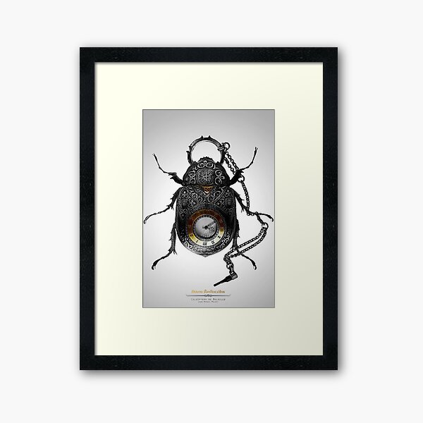 Coleóptero de Bolsillo Framed Art Print