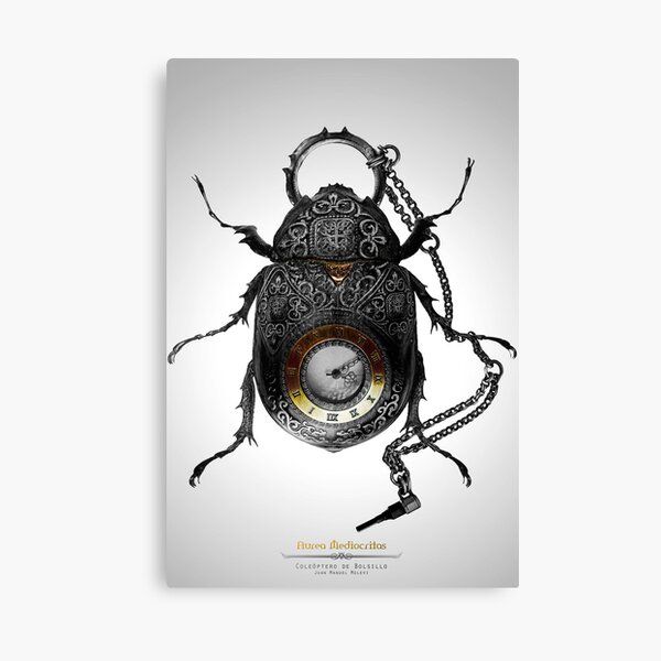 Coleóptero de Bolsillo Canvas Print