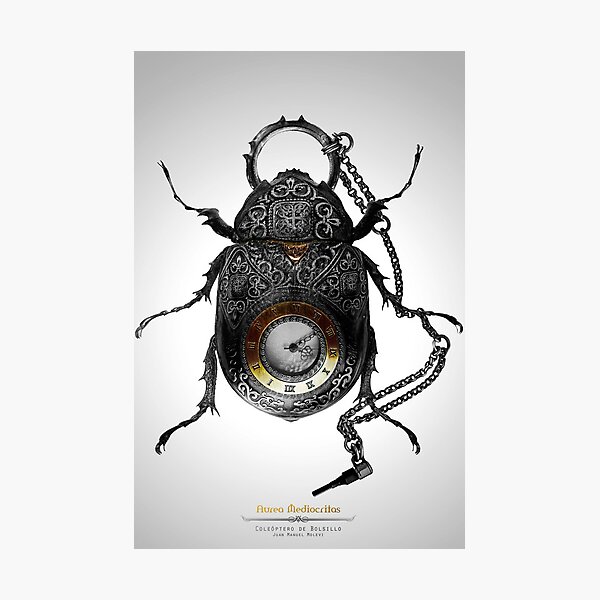 Coleóptero de Bolsillo Photographic Print
