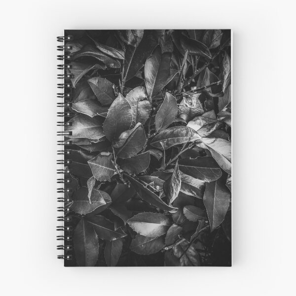 Item preview, closeup leaves texture background in black and white designed and sold by Mrvell.