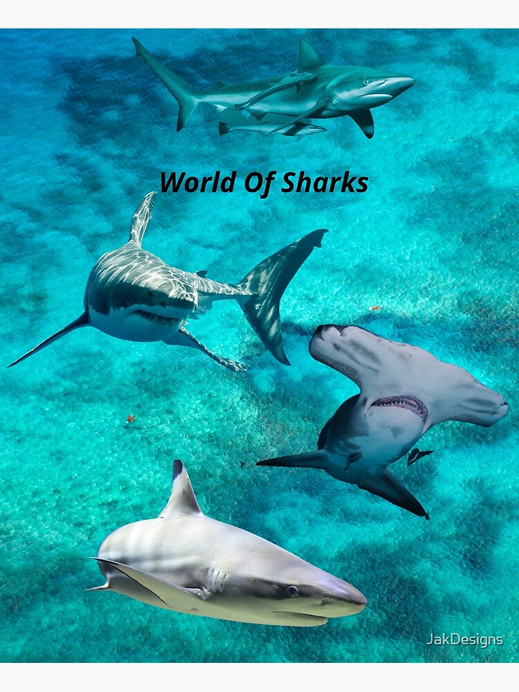 Disover World Of Sharks Premium Matte Vertical Poster
