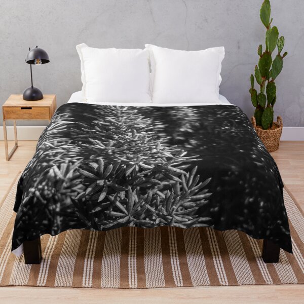 Item preview, closeup spiky succulent plant in black and white designed and sold by Mrvell.