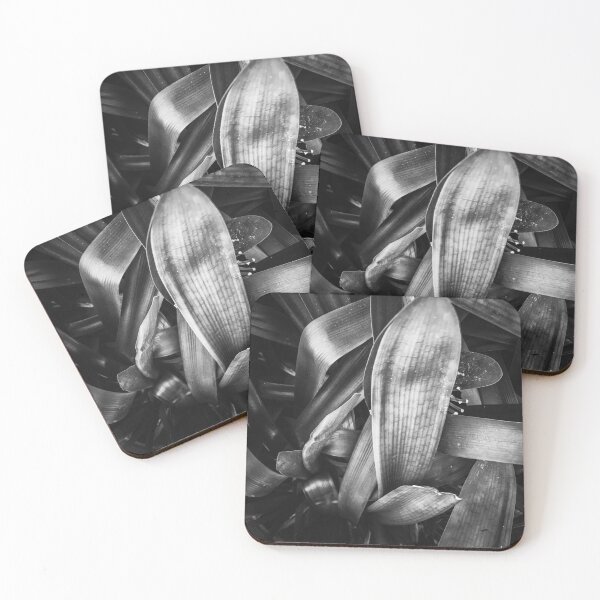 Item preview, closeup leaves texture background in black and white designed and sold by Mrvell.