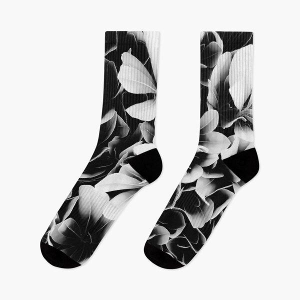 Item preview, closeup succulent leaves texture in black and white designed and sold by Mrvell.