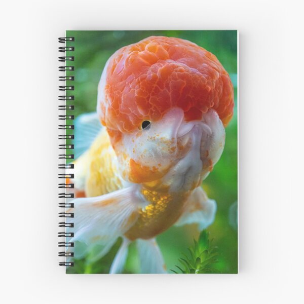 Item preview, A seriously handsome goldfish! designed and sold by GregDorney.