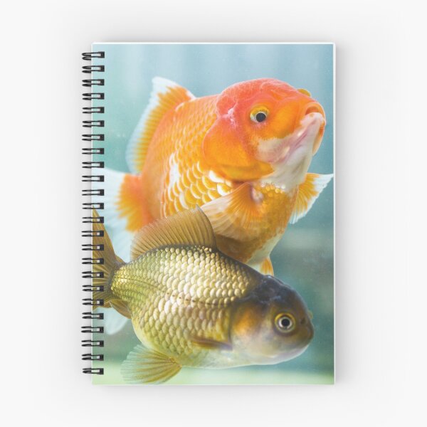 Item preview, Pez Dorado Oranda Naranja Chocolate designed and sold by GregDorney.