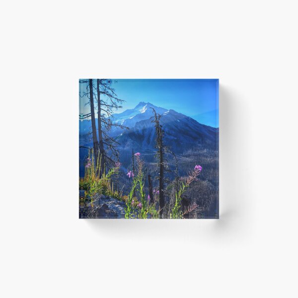 Item preview, View From Whitewater Trail designed and sold by Dana Hardy.