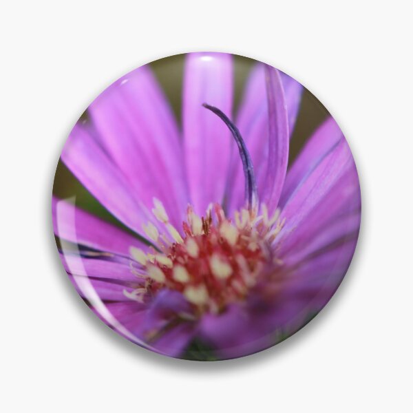 Item preview, Aster designed and sold by StampCity.