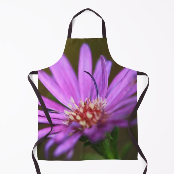 Item preview, Aster designed and sold by StampCity.