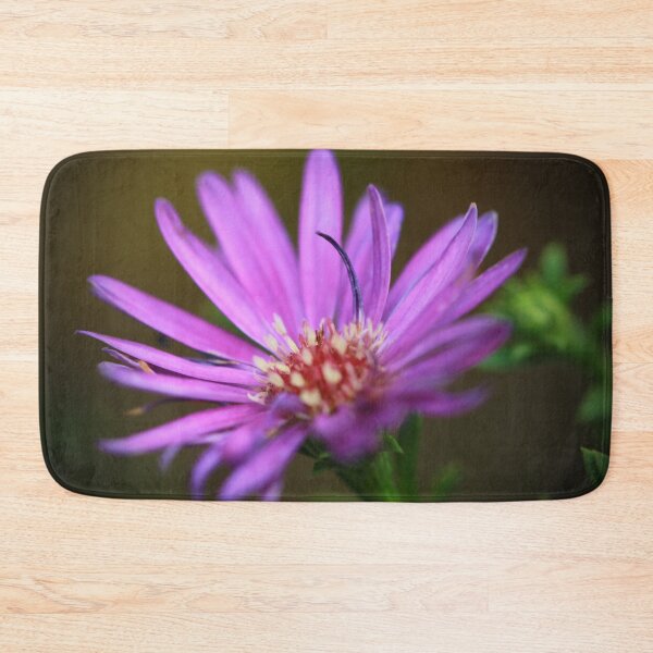 Item preview, Aster designed and sold by StampCity.
