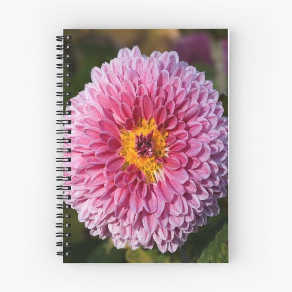 Item preview, Chrysanthemum designed and sold by virilamissa.