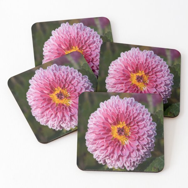 Item preview, Chrysanthemum designed and sold by virilamissa.