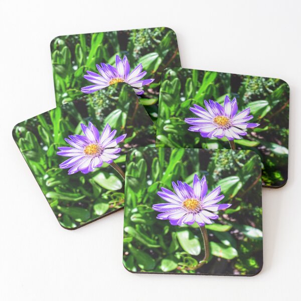 Item preview, Purple Aster designed and sold by Dana Hardy.